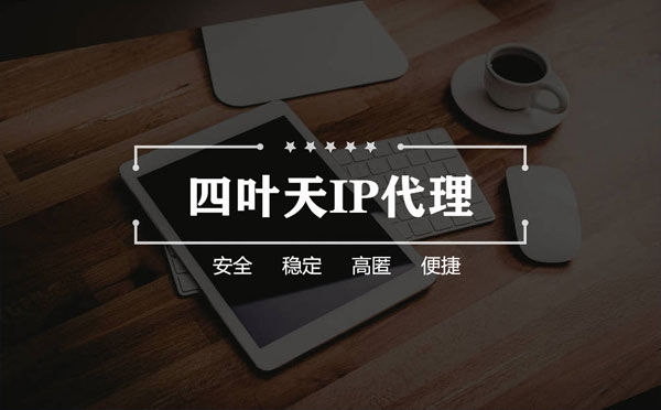 【馆陶代理IP】如何快速搭建代理IP？怎么检查代理的效果？